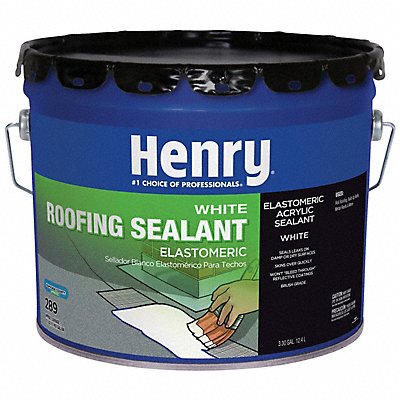 HENRY HE289063 Roof Sealant White