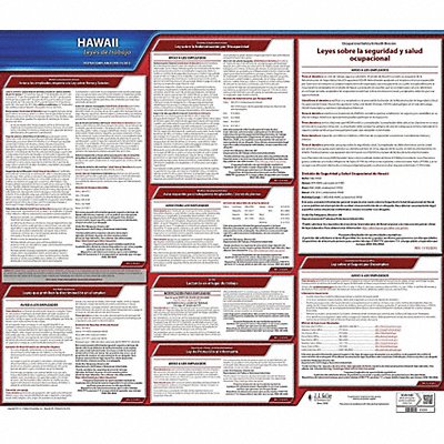 JJ KELLER 200HI Labor Law Poster State Labor Law HI