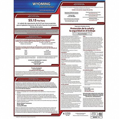 JJ KELLER 200WY Labor Law Poster State Labor Law WY