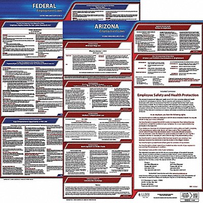 JJ KELLER 100AZ1 LaborLaw Poster Fed/STA AZ ENG 20inH 1yr