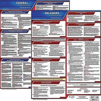 JJ KELLER 100DE3 LaborLaw Poster Fed/STA DE ENG 20inH 3yr