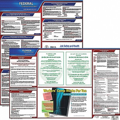 JJ KELLER 100FL3 LaborLaw Poster Fed/STA FL ENG 20inH 3yr