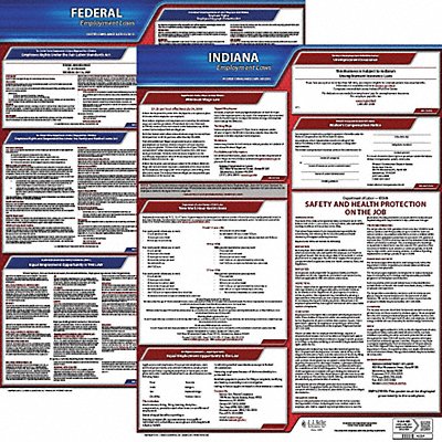 JJ KELLER 100IN1 LaborLaw Poster Fed/STA IN ENG 20inH 1yr