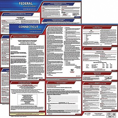 JJ KELLER 200CT3 Labor Law Poster Fed/STA CT SP 20inH 3yr