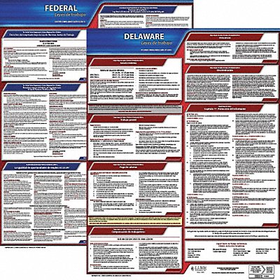 JJ KELLER 200DE3 Labor Law Poster Fed/STA DE SP 20inH 3yr