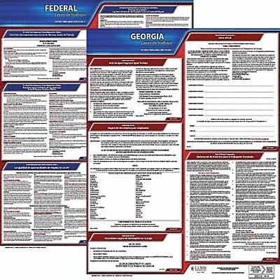 JJ KELLER 200GA1 Labor Law Poster Fed/STA GA SP 20inH 1yr
