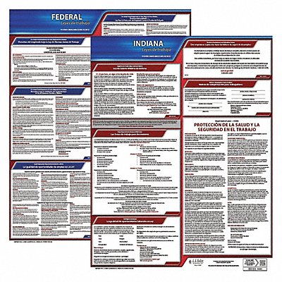 JJ KELLER 200IN1 Labor Law Poster Fed/STA IN SP 20inH 1yr