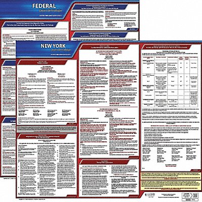 JJ KELLER 200NY3 Labor Law Poster Fed/STA NY SP 20inH 3yr