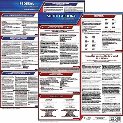 JJ KELLER 200SC3 Labor Law Poster Fed/STA SC SP 20inH 3yr