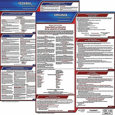 JJ KELLER 200VA3 Labor Law Poster Fed/STA VA SP 20inH 3yr