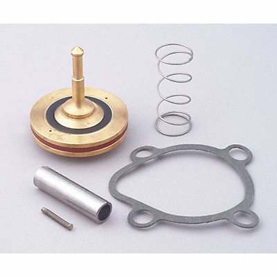 DAYTON 66065 Valve Rebuild Kit With Instructions