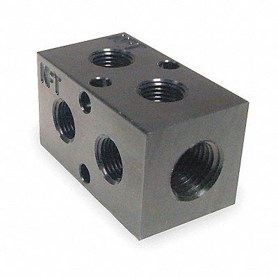 PNEUMADYNE INC M20250290 Manifold BLK Alum 2Outlets 2.13 L