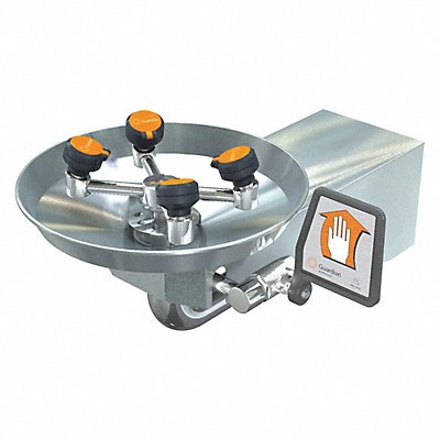 GUARDIAN EQUIPMENT GBF1724 ADA Eye/Face Wash Station Wall SS 15 W