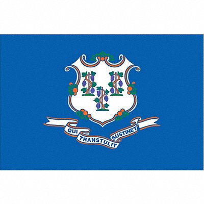 ANNIN FLAGMAKERS 140760 D3761 Connecticut State Flag 3x5 Ft