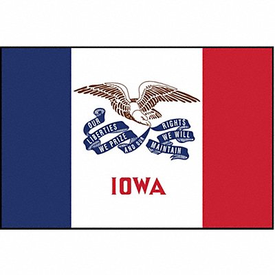 ANNIN FLAGMAKERS 141760 D3761 Iowa State Flag 3x5 Ft