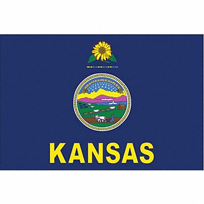ANNIN FLAGMAKERS 141860 D3761 Kansas State Flag 3x5 Ft