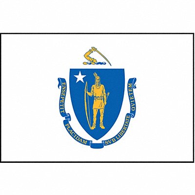 ANNIN FLAGMAKERS 142460 D3761 Massachusetts State Flag 3x5 Ft