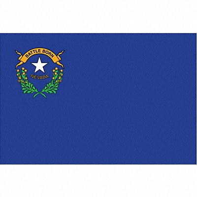 ANNIN FLAGMAKERS 143360 D3761 Nevada State Flag 3x5 Ft