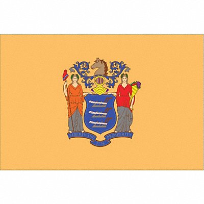 ANNIN FLAGMAKERS 143660 D3761 New Jersey State Flag 3x5 Ft