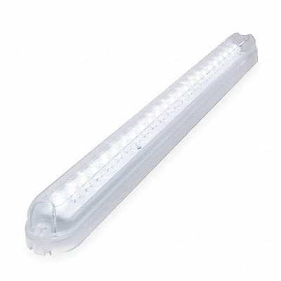 GROTE 60581 Courtesy Light Rectangular Clear White