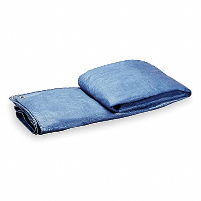 GRAINGER 2ZJ44 G8818 Tarp Polyethylene Blue/Green 6x8Ft