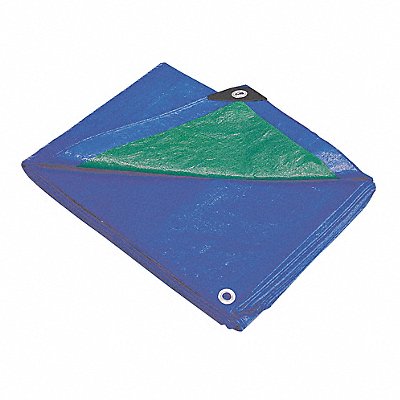 GRAINGER 2W694 G8820 Tarp Polyethylene Blue/Green 10x12Ft