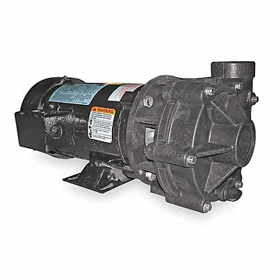 DAYTON 2YEW7 Centrifugal Pump Noryl 3P 1 1/2in 3hp 123gpm