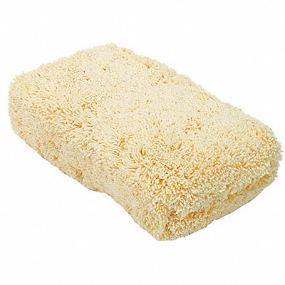 TOUGH GUY 2ZPE6 Sponge 8 1/4 in L Natural
