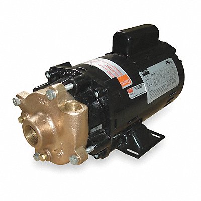 DAYTON 2ZWR9 Pump 1 HP 1 Ph 115/230VAC