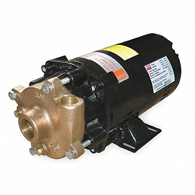 DAYTON 2ZWT3 Pump 1-1/2 HP 3 Ph 208 to 240/480VAC