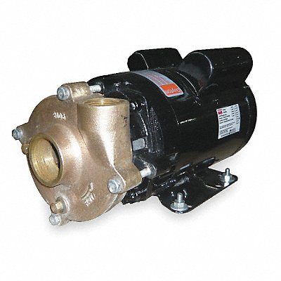 DAYTON 2ZWT2 Pump 1-1/2 HP 1 Ph 120/208 to 240VAC