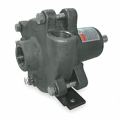 DAYTON 2ZWY8 Pedestal Pump Stainless Stel HP Req. 1/3