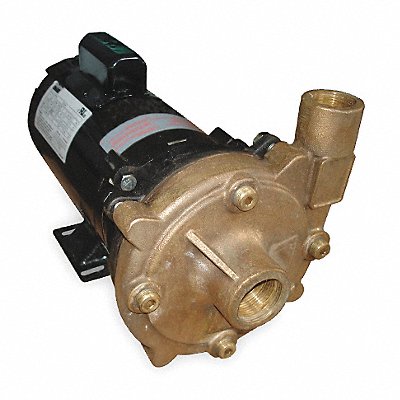 DAYTON 2ZWZ8 Pump 3/4 HP 1 Ph 120/240VAC
