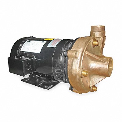 DAYTON 2ZXA6 Pump 2 HP 3 Ph 208 to 240/480VAC