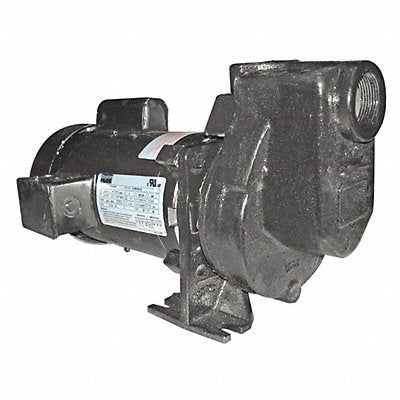 DAYTON 5WXU5 Self Priming Pump 1/2 HP Cast Iron