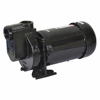 DAYTON 2ZXP4 Self Priming Pump 1 HP Cast Iron