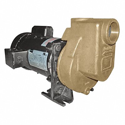 DAYTON 5WXU6 Self Priming Pump 1/3 HP Bronze