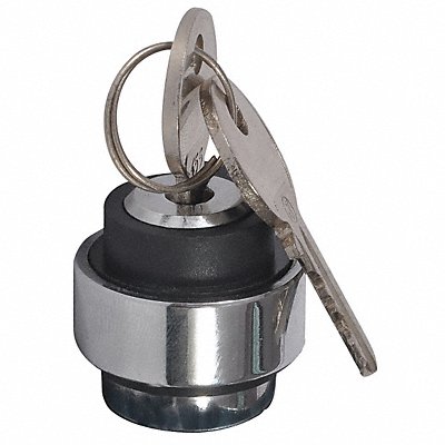 DAYTON 30G285 Keyed Selector Switch Black 2Pos 22mm