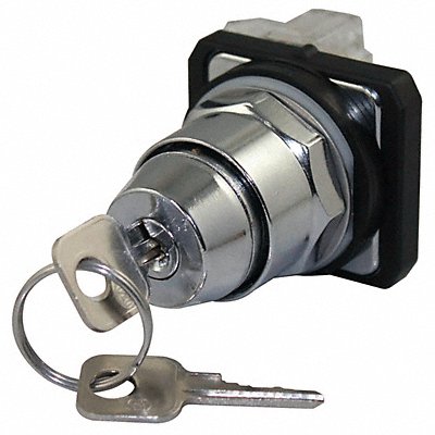 DAYTON 30G317 Selector Switch Keyed Non Illuminated 2Pos 30mm