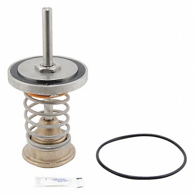 WATTS LFRK909CK14 First Check Valve Repair Kit