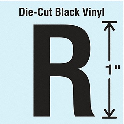 STRANCO INC DBV1R10 K8338 Die Cut Letter Label R 10 Cards PK10