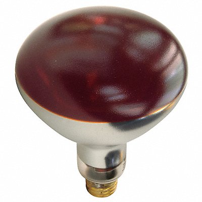 SHAT-R-SHIELD 250R40HTRED 250 W R40 Medium Screw (E26)