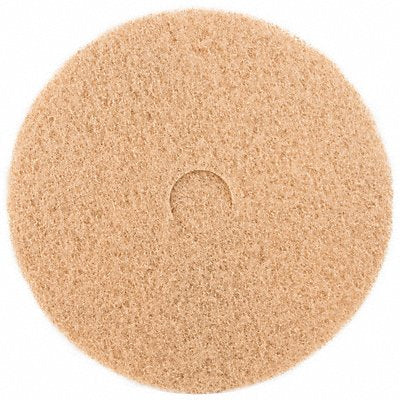ABILITY ONE 7910020000000 Burnishing Pad 20 in Dia Tan PK5