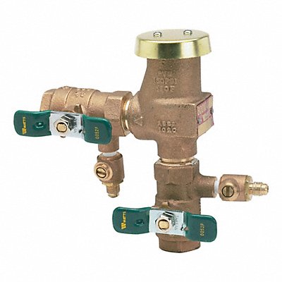 WATTS 800M4FR Freeze Resistant Vacuum Breaker 6-1/4inH