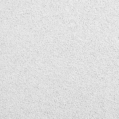 ARMSTRONG 1913A Ceiling Tile 48 in L 24 in W PK6
