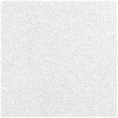ARMSTRONG 1942A Ceiling Tile 24 in L 24 in W PK10