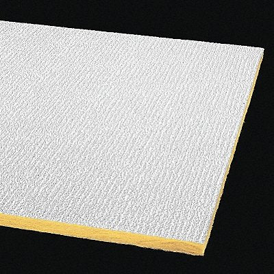 ARMSTRONG 2907 Ceiling Tile 48 in L 24 in W PK16