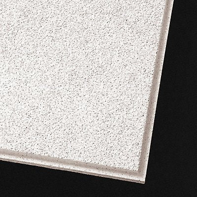 ARMSTRONG 556E Ceiling Tile 24 in L 24 in W PK10