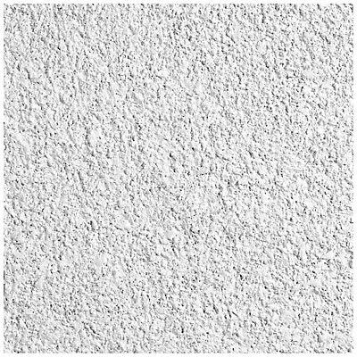 ARMSTRONG 558E Ceiling Tile 24 in L 24 in W PK10