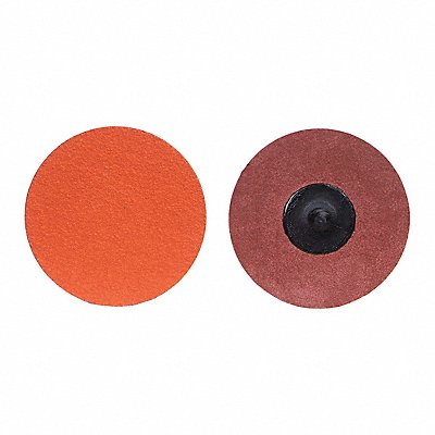 NORTON 63642595470 Quick Change Sanding Disc 2 in Dia TR
